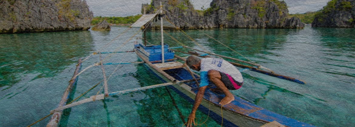 DENR Services